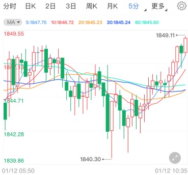 拜登酝酿数万亿刺激案 国际金价反弹修正