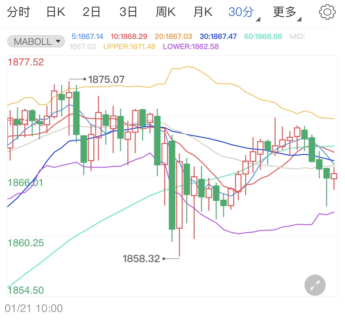 拜登耶伦联手拯救经济 国际黄金涨势中止